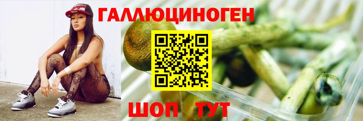 Галлюциногенные грибы мухоморы Анапа
